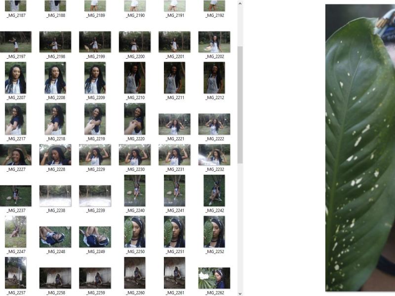 Parâmetros de um ensaio – dicas para quem estar&nbsp;começando